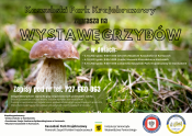 Grafika: Wystawa grzybów