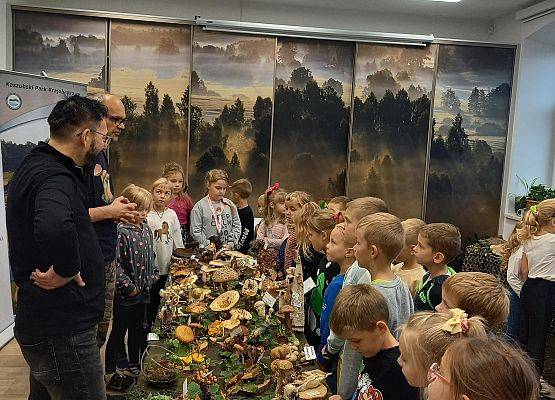 Wystawa grzybów w sali wykładowej Kaszubskiego Parku Krajobrazowego fot. Monika Rekowska grafika