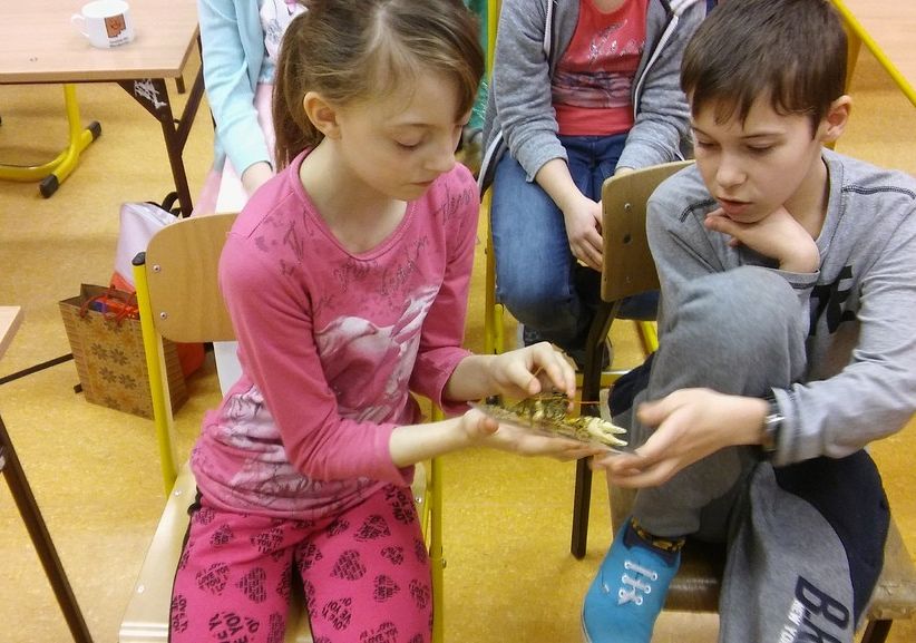 Grafika Powitanie wiosny w Mojuszu