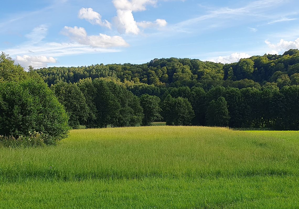 Staniszewskie Zdroje Grafika Staniszewskie Zdroje