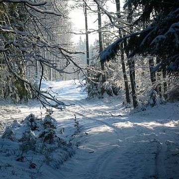 Zapraszamy na ferie zimowe z Kaszubskim Parkiem Krajobrazowym grafika