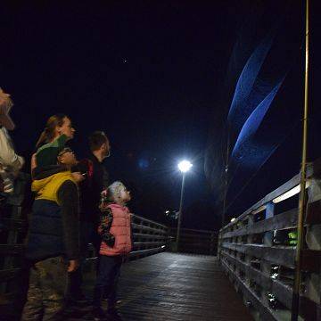 Międzynarodowa Noc Nietoperzy w Kaszubskim Parku Krajobrazowym grafika