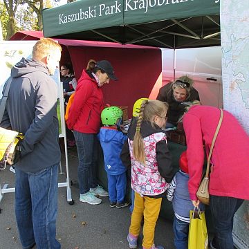 Grafika XII Targ Produktów Ekologicznych w Kartuzach