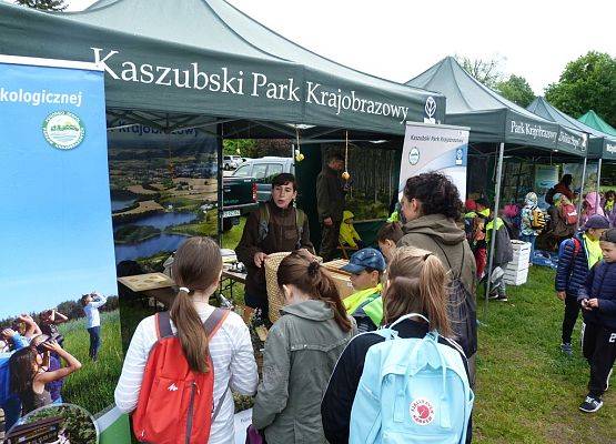 Grafika 5: Kaszubski Park Krajobrazowy i Ośrodek Edukacji Ekologicznej na X pikniku „Bioróżnorodność – poznaj, by zachować”