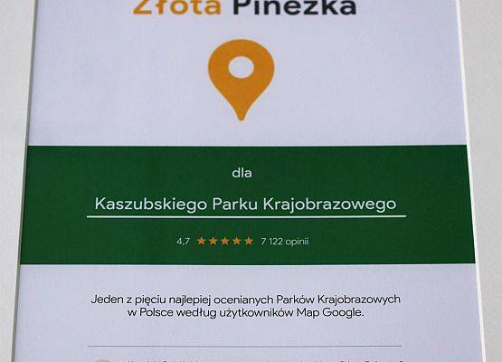 Treść wyróżnienia Złota Pinezka Map Google. grafika