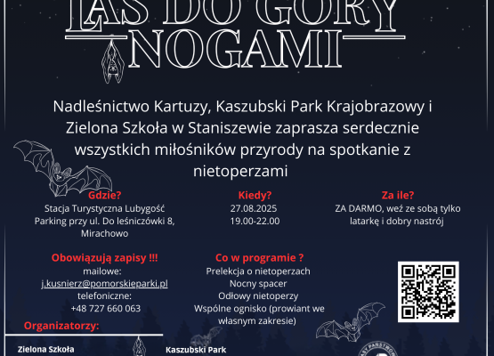 Grafika Międzynarodowa noc z nietoperzami