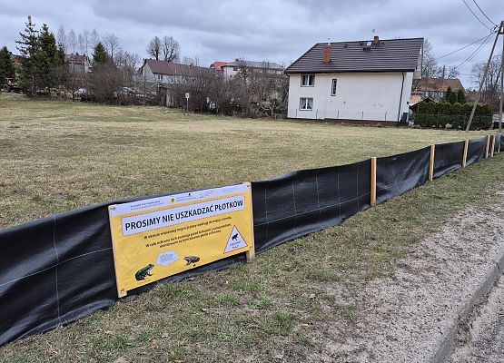 Tymczasowe ogrodzenie dla płazów w miejscowości Mirachowo