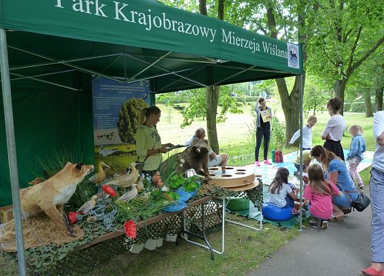 Grafika Bioróżnorodność – poznaj by zachować  na Jarmarku Kaszubskim w Kartuzach