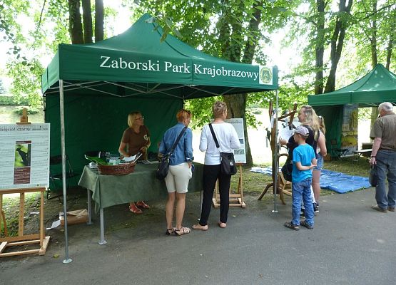 Grafika Bioróżnorodność – poznaj by zachować  na Jarmarku Kaszubskim w Kartuzach