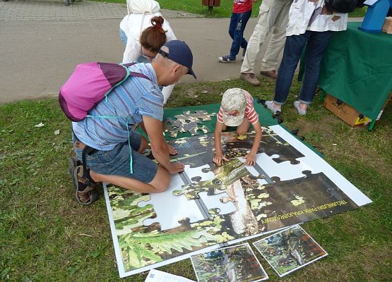 Grafika Bioróżnorodność – poznaj by zachować  na Jarmarku Kaszubskim w Kartuzach