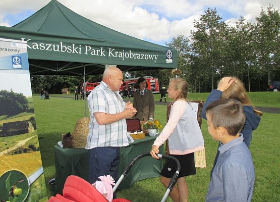 Grafika Wielki Dzień Pszczół w Kaszubskim Parku Krajobrazowym