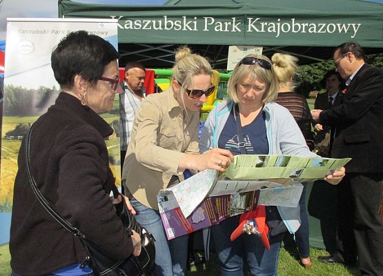 Grafika Wielki Dzień Pszczół w Kaszubskim Parku Krajobrazowym