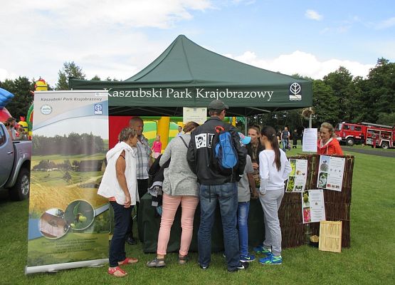 Grafika Wielki Dzień Pszczół w Kaszubskim Parku Krajobrazowym