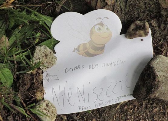 Grafika Wielki Dzień Pszczół w Kaszubskim Parku Krajobrazowym