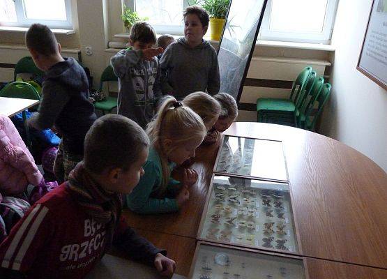 Grafika "Otwarta firma" w  Kaszubskim Parku Krajobrazowym