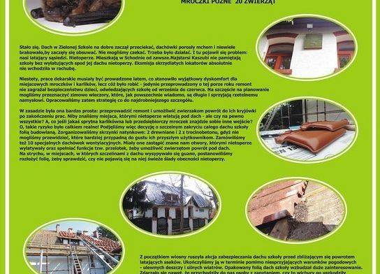 Poster Wdzydzkiego Parku Krajobrazowego na temat:  „Jak w Zielonej Szkole w Schodnie nietoperze nowy dach dostały” grafika