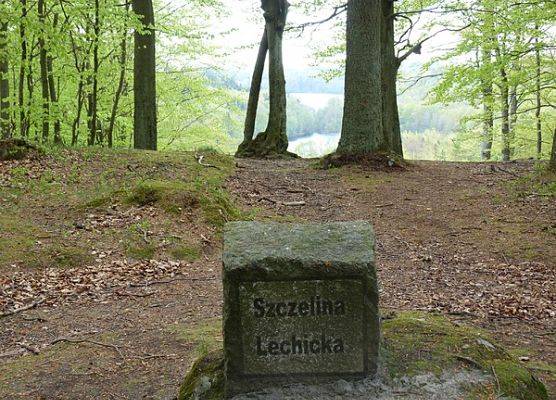 Kamień z napisem: Sczelina Lechicka grafika