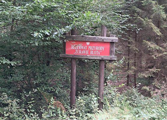 Żurawie Błota Grafika Żurawie Błota