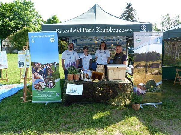 Kaszubski Park Krajobrazowy i Ośrodek Edukacji Ekologicznej na X pikniku „Bioróżnorodność – poznaj, by zachować” grafika