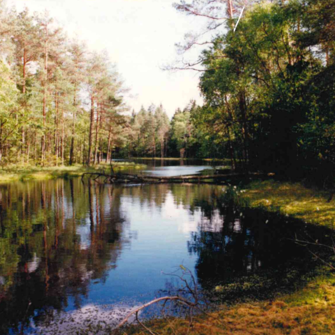 Grafika Kurze Grzędy