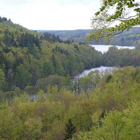 Grafika Sczelina Lechicka