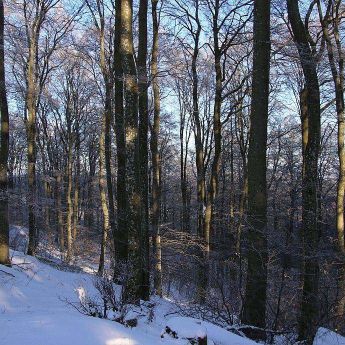 Grafika Szczyt Wieżyca na Pojezierzu Kaszubskim