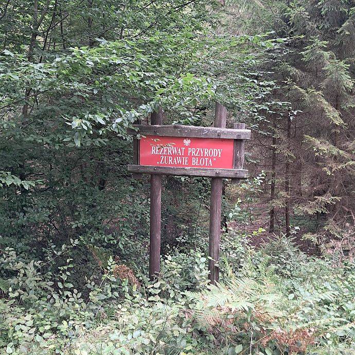 Grafika Żurawie Błota